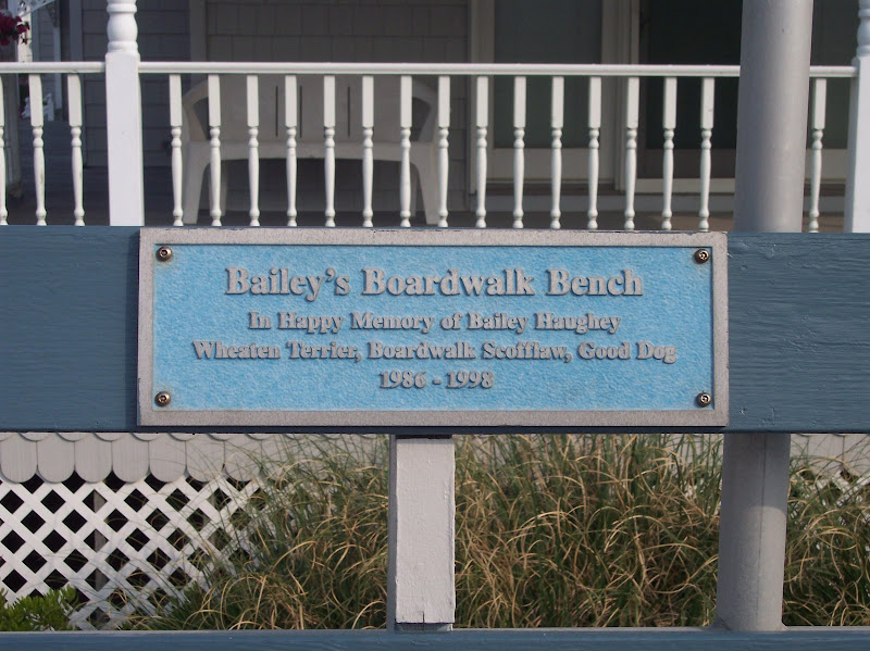 Bailey's Boardwalk BenchIn happy memory of Bailey HaugheyWheaten Terrier, Boardwalk Scofflaw, Good Dog1986-1998