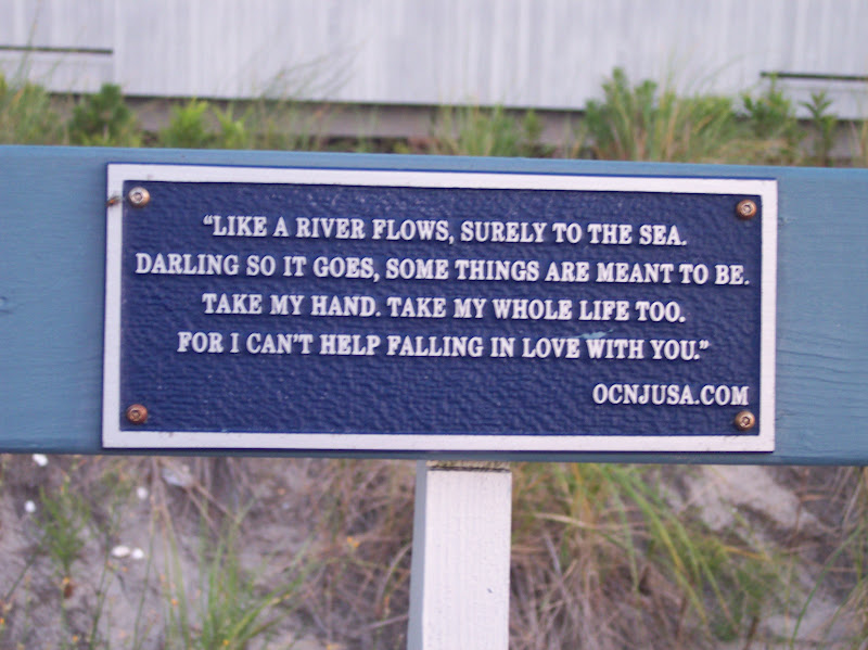 "Like a river flows, surely to the sea.Darling so it goes,some things are meant to be.Take my hand. Take my whole life too.For I can't help falling in love with you.OCNJUSA.COM