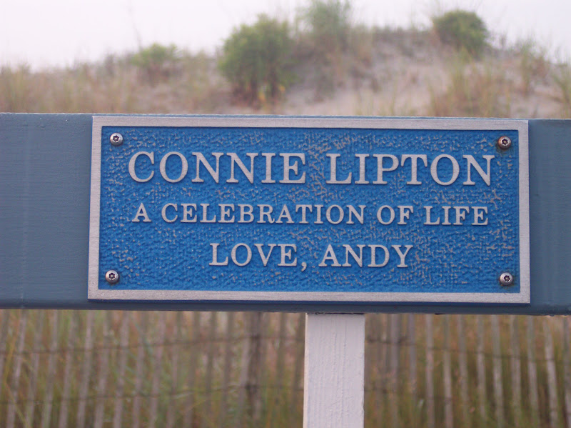 Connie LiptonA celebration of lifeLove, Andy