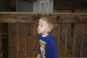[first snow 2009_1218 4402 [2].jpg]