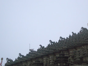 P1000631.JPG