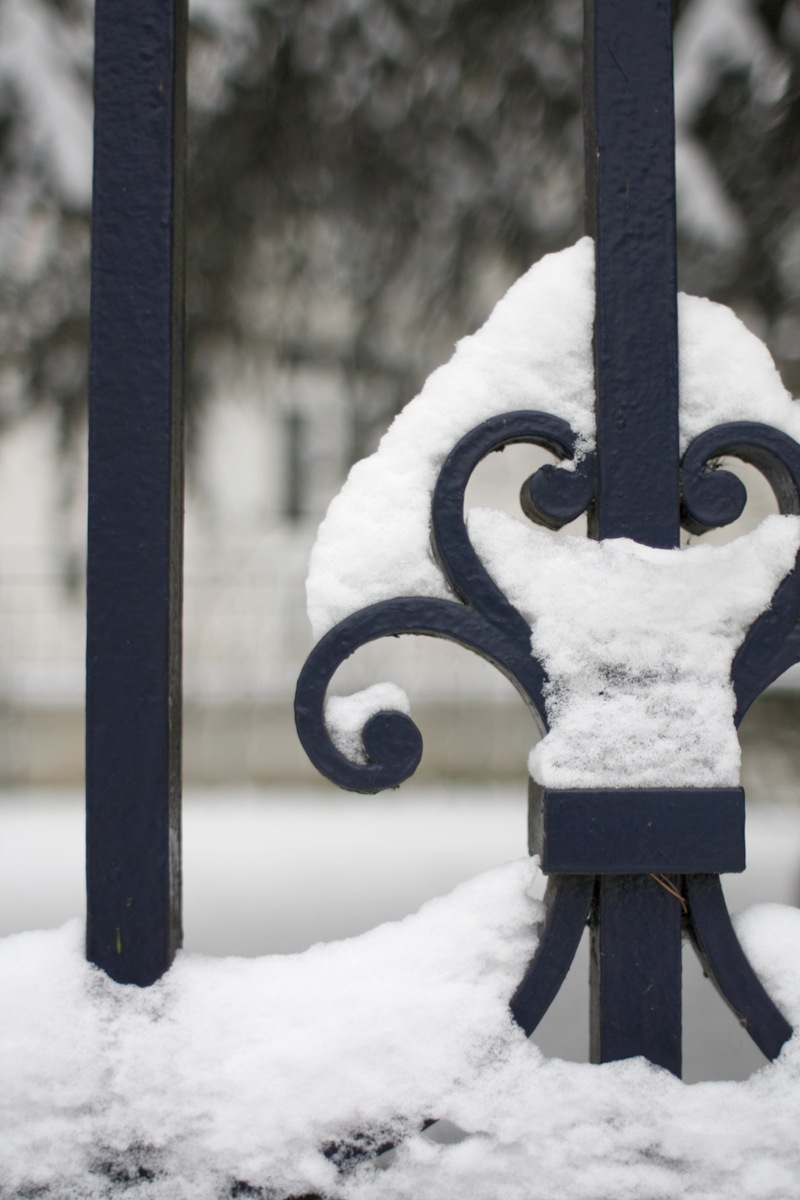[snow[3].jpg]