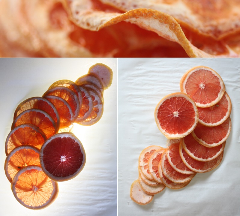 [grapefruit046.jpg]