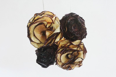 driednecklaces04