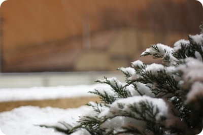 neige2
