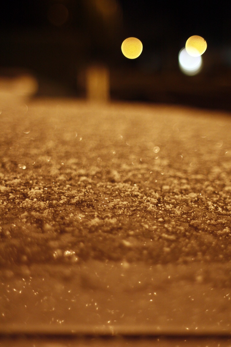 [firstsnow[3].jpg]