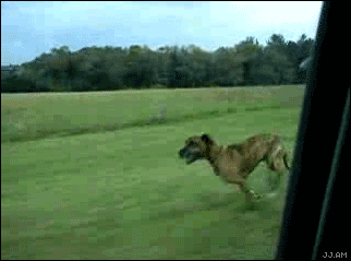 geronimooooooooooo%5B6%5D.gif