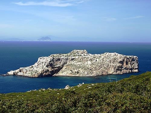 Isla de Perejil