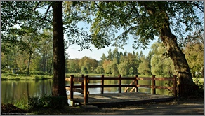 Zwierzyniec