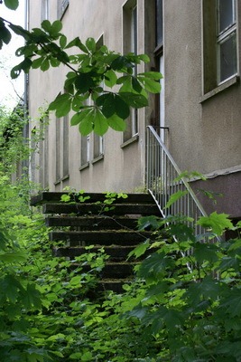 DSC02850