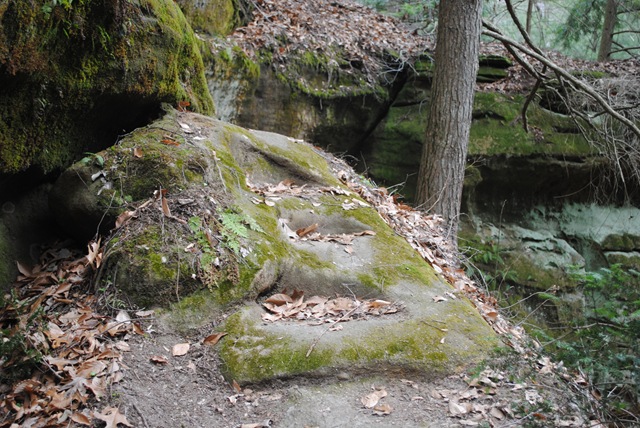 [DSC_0032[2].jpg]