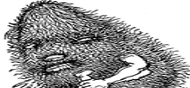 [BANKISHAMAN1[3].png]