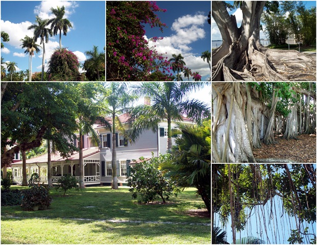 [housecollage6.jpg]