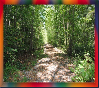 framedroad3 framedroad3
