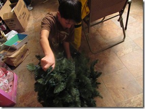 IMG_3689 IMG_3689