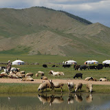 The White Lake area.