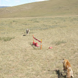 322 Aug 2006 leaving Orkhon Khurkhree waterfall, Mongolia roadside archery.JPG