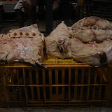 Belem, Brazil - the Fish Market at 5am