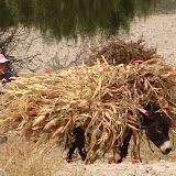 167 April 2006 Tupiza, Bolivia Horseback riding through the canyons - 2 day trip.JPG