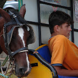 DSC01790.jpg