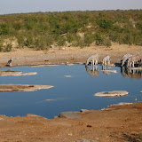 085 May 2005 Namibia Etosha Natl Park Halali watering hole.JPG