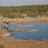 084 May 2005 Namibia Etosha Natl Park Halali watering hole.JPG