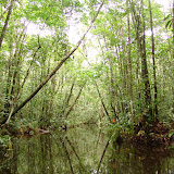 271 Feb 2006  Caxiuana Ferreira Penna Scientific Research Station.JPG