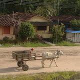 340 Feb 2006 Breves outside research stn house.JPG