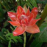 DSC02159.jpg