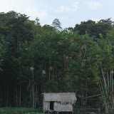 048 February 2006 Boat trip from Breves to Caxiuana.JPG