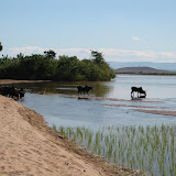 136 June 2005  Miandravazo, Madagascar the Tsiribihina River.JPG
