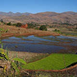 A rice paddy on the
way to Andringtra.
