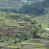 083 Oct 2005 Banaue, Philippines about 15 km from Banaue.JPG