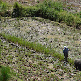 201 Oct 2005 Sagada, Philippines.JPG