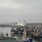 DSCN0756.JPG