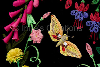Quilled moth (butterfly)