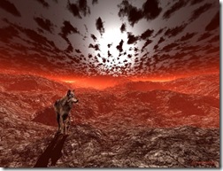 Walking in the land of Wolves Walking in the land of Wolves