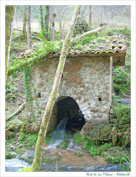 Ruta de Los Molinos - CaminAstur