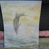  &ndash; Stephen's Dolphin
