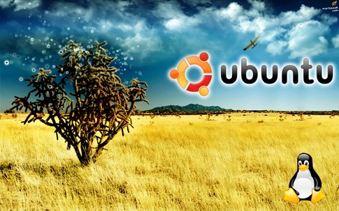 wallpaper ubunto desbaratinando papel de parede (27) wallpaper ubunto desbaratinando papel de parede (27)