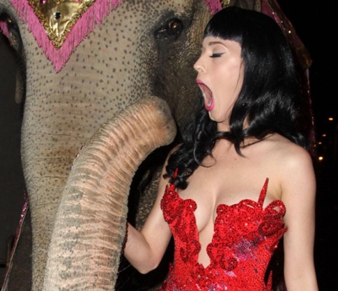 katy perry linda sexy gostosa desbaratinando diva musa (70) katy perry linda sexy gostosa desbaratinando diva musa (70)