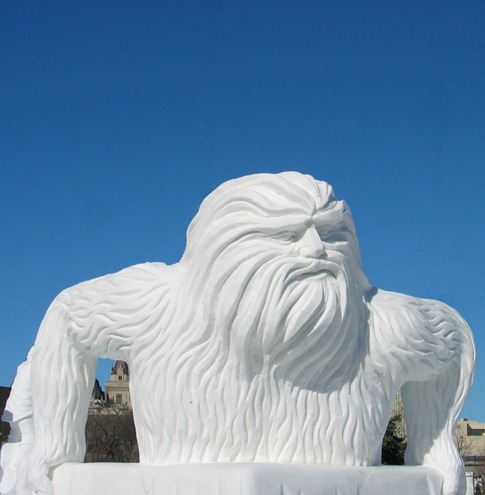 [esculturas neve lindas gelo inverno arte (40)[6].jpg]