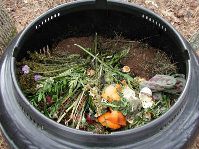 [Compost Heap[9].jpg]