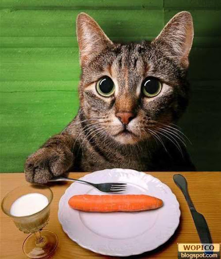 I dont Like Carrot