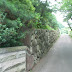 RIMG0147.JPG
