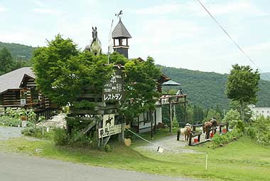 Shiga Kogen Nagano Lodge for sale