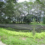l_20090828110159.JPG