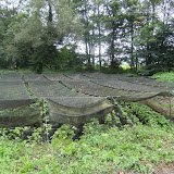 l_20090828111021.JPG
