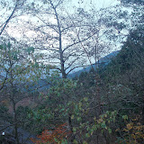PB200021.JPG