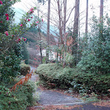 PB200026.JPG